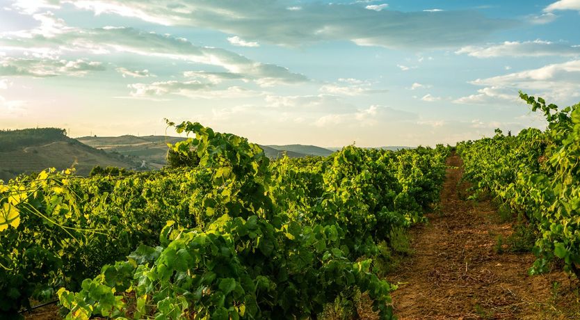 Photo of Oh-so-Moorish