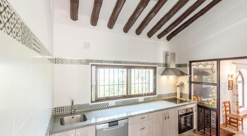 Photo of As Free as a Bird