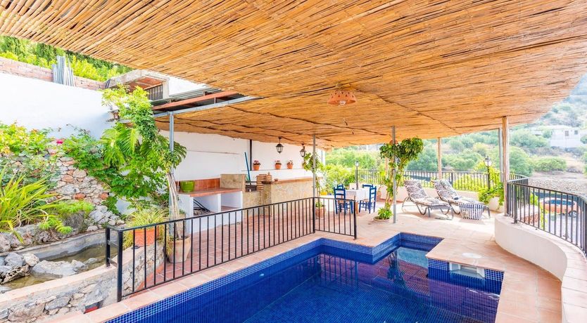 Photo of As Free as a Bird