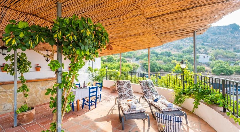 Photo of As Free as a Bird