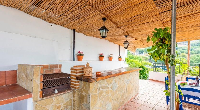 Photo of As Free as a Bird