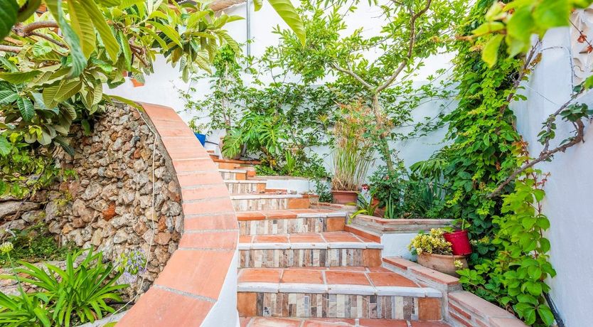 Photo of As Free as a Bird