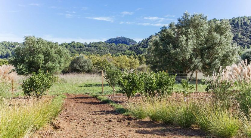 Photo of Well Wishes