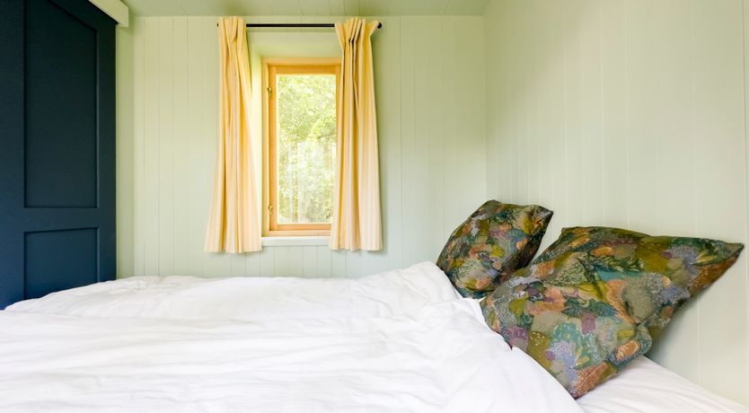 Photo of The Linseed Story