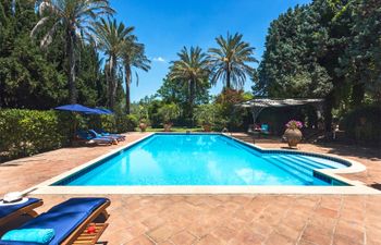 Palms, Pools & Poker Villa