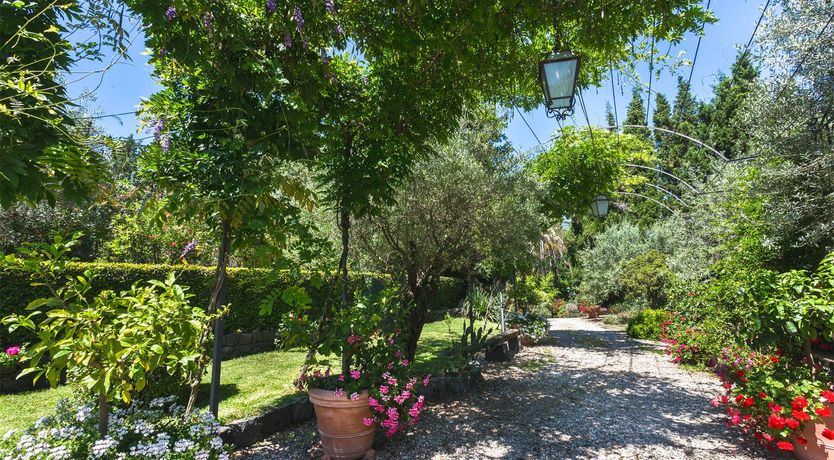 Photo of Palms, Pools & Poker