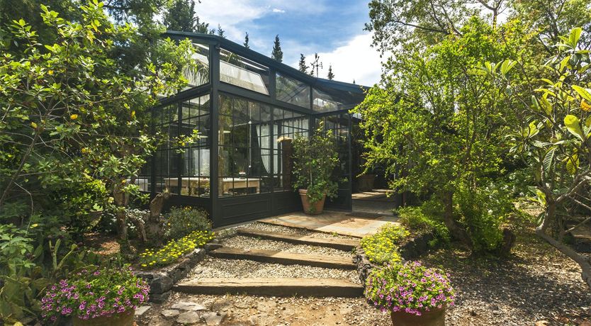 Photo of Palms, Pools & Poker