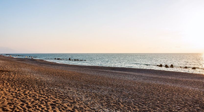 Photo of Where Lemons Grow