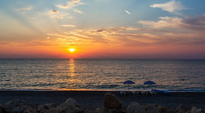 Photo of Where Lemons Grow