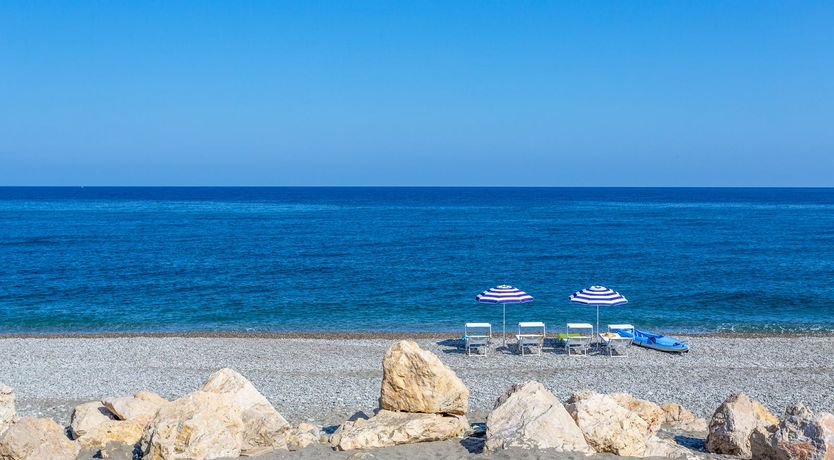 Photo of Where Lemons Grow