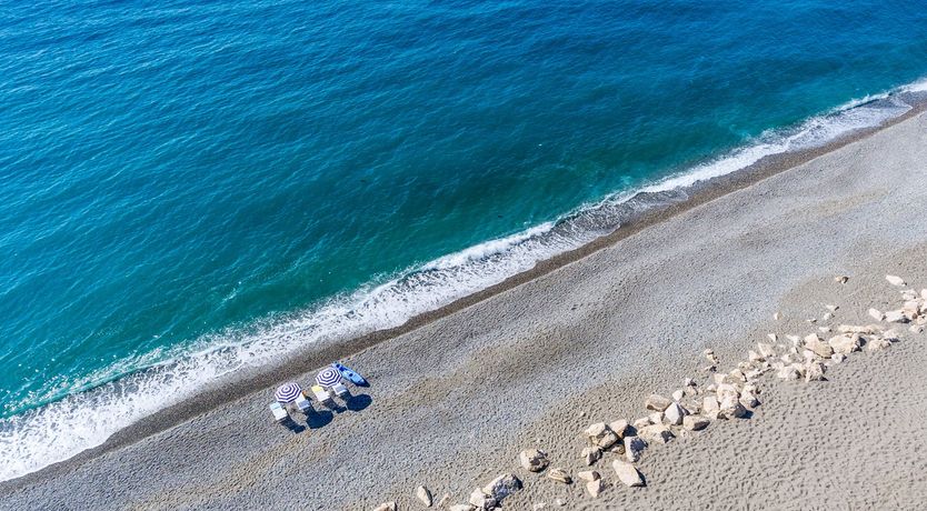 Photo of Where Lemons Grow