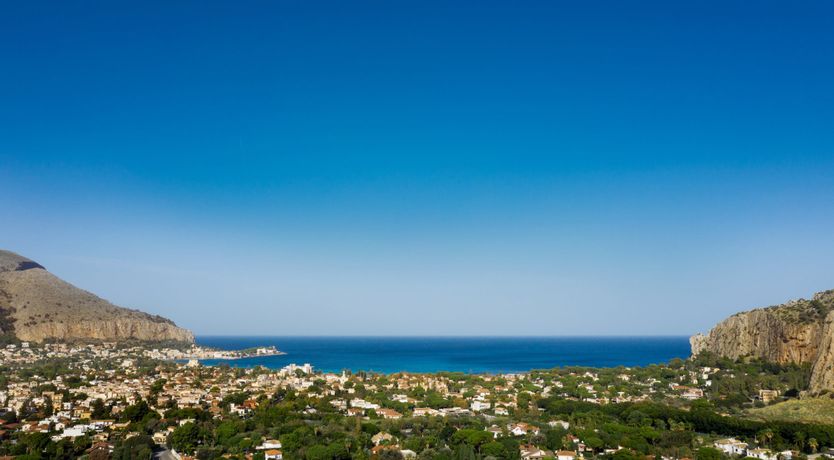 Photo of Palermo Palms