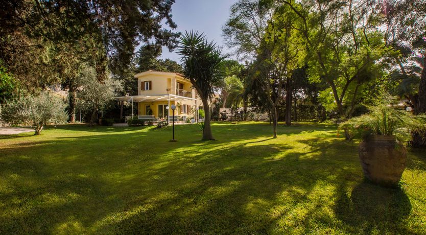 Photo of Palermo Palms