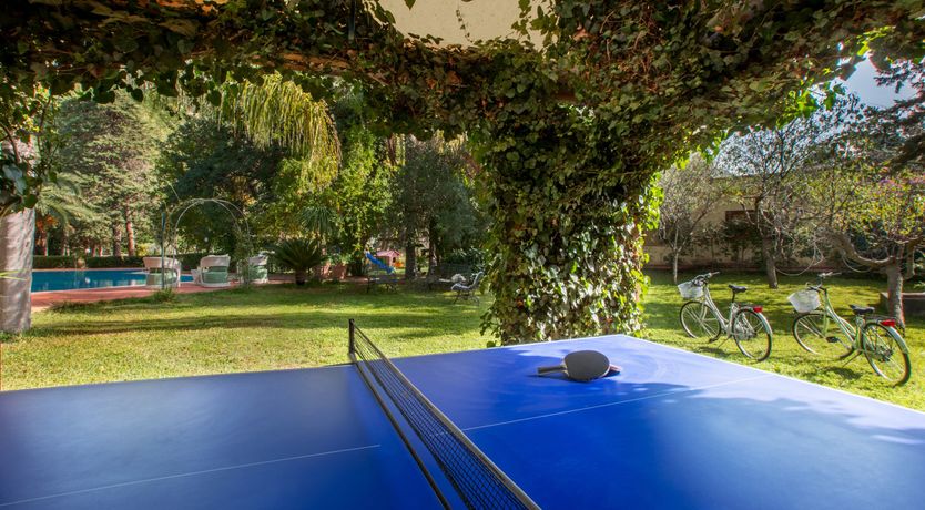 Photo of Palermo Palms