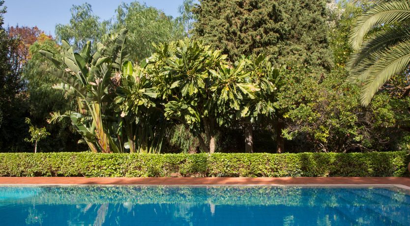 Photo of Palermo Palms