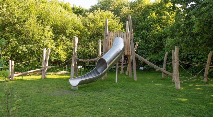 Photo of Woodland Daydream