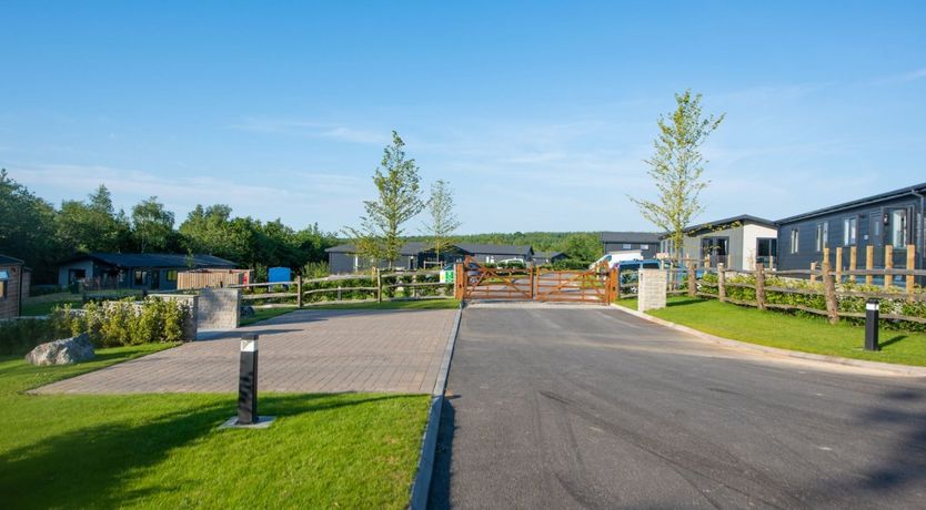 Photo of Woodland Daydream