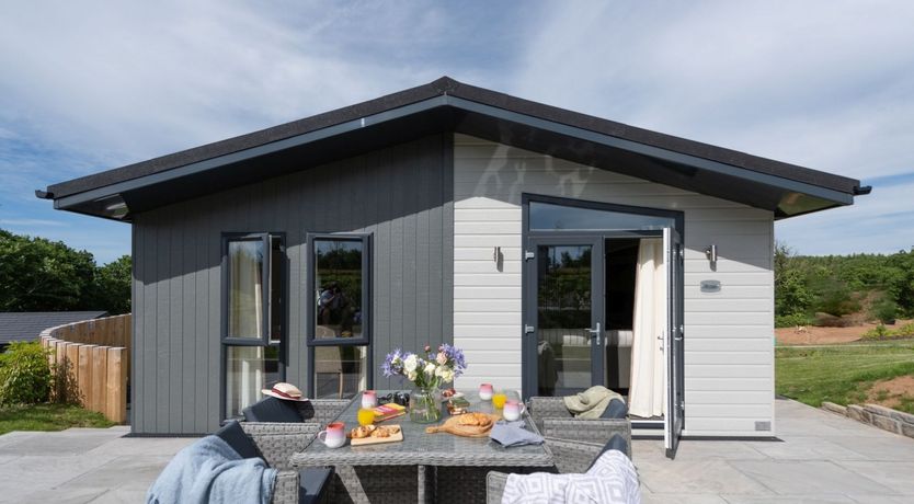 Photo of Woodland Daydream