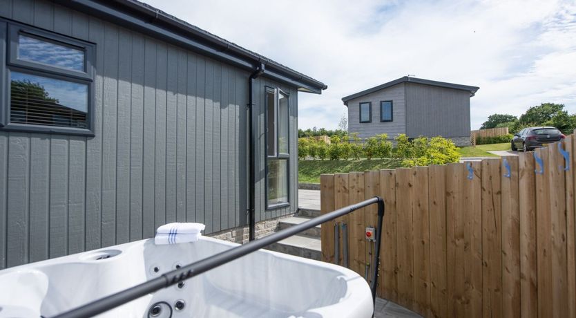 Photo of Woodland Daydream