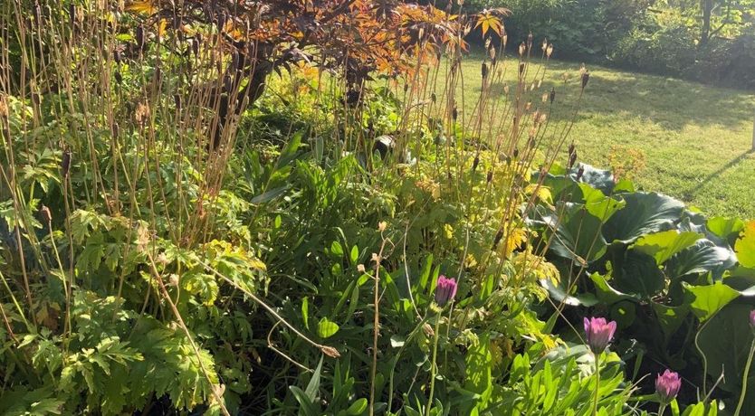 Photo of 1 Bed in Hawick