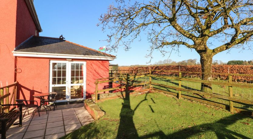 Photo of Cwtch Cowin