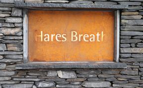 Photo of Hare's Breath