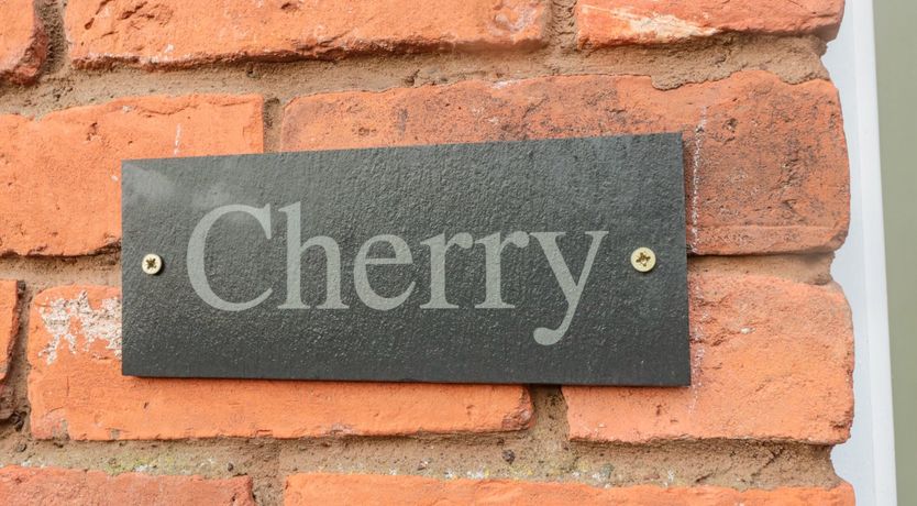 Photo of Cherry Studio