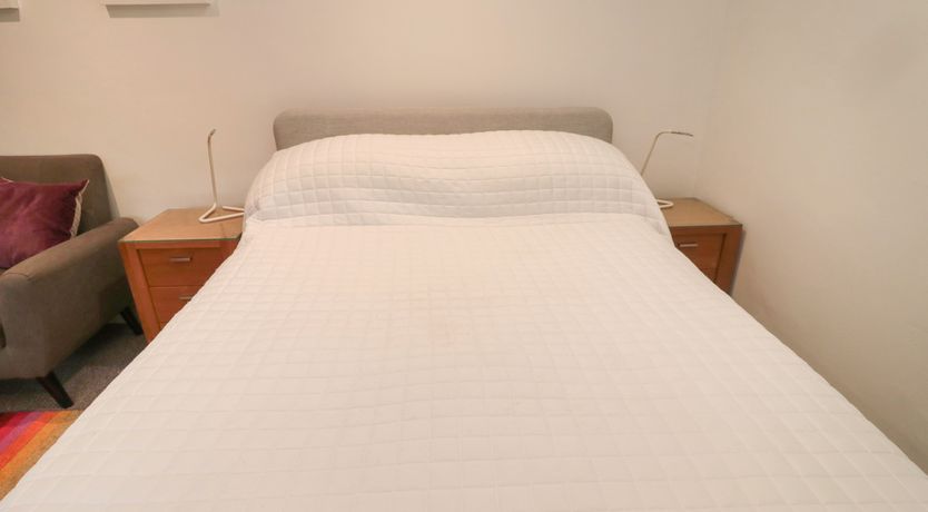 Photo of Silverbirch