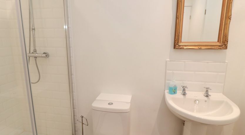 Photo of Silverbirch