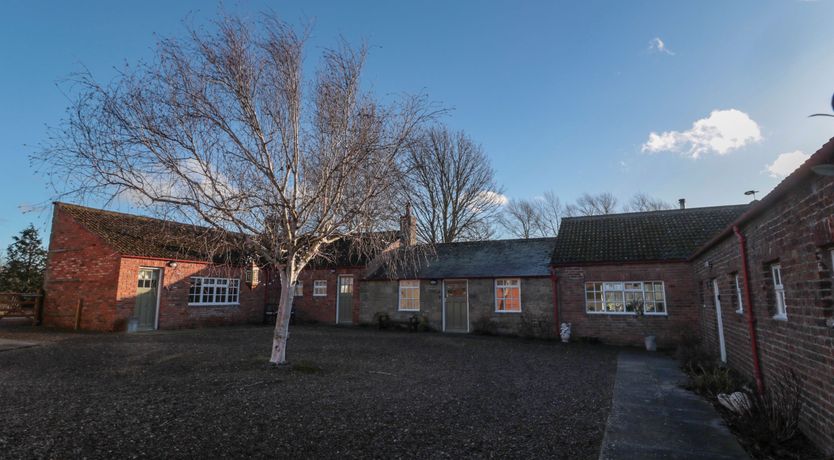 Photo of Silverbirch