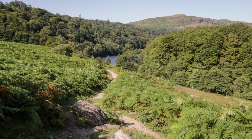 Photo of 8 Oaks Field