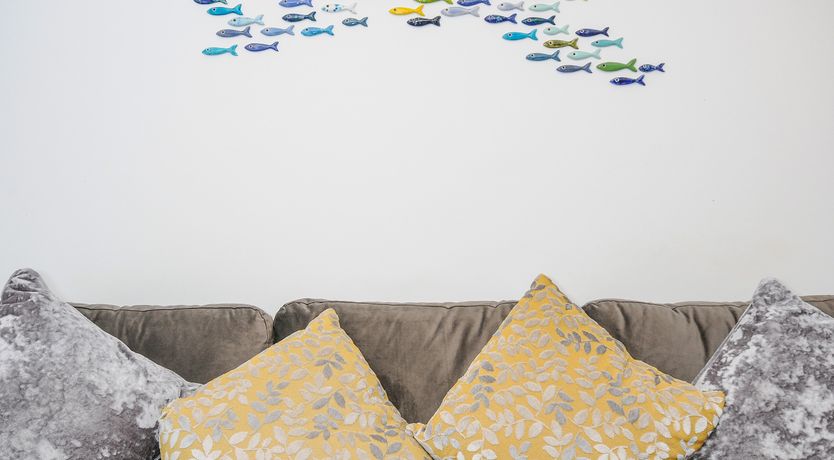 Photo of Salty Sea Dog