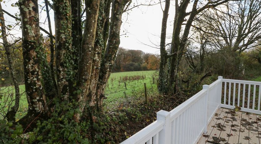Photo of The Hut (Devon Country 5)