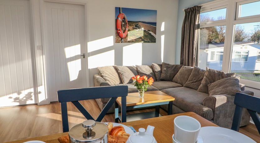 Photo of Beachcomber