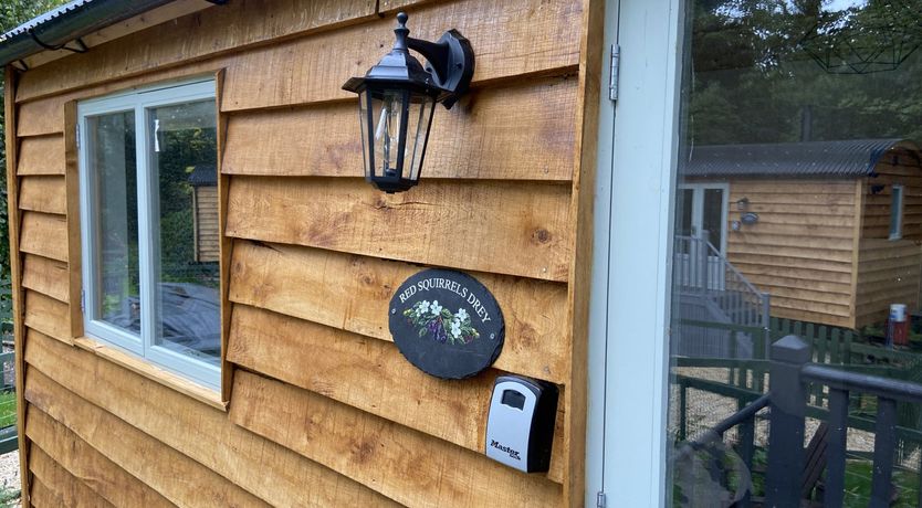 Photo of Red Squirrels Drey