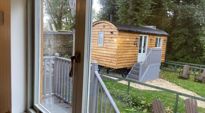 Photo of Red Squirrels Drey