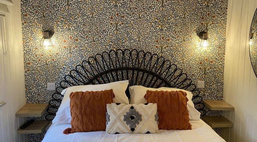 Photo of Red Squirrels Drey