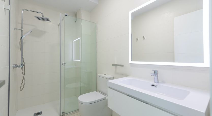 Photo of Tropical Fish