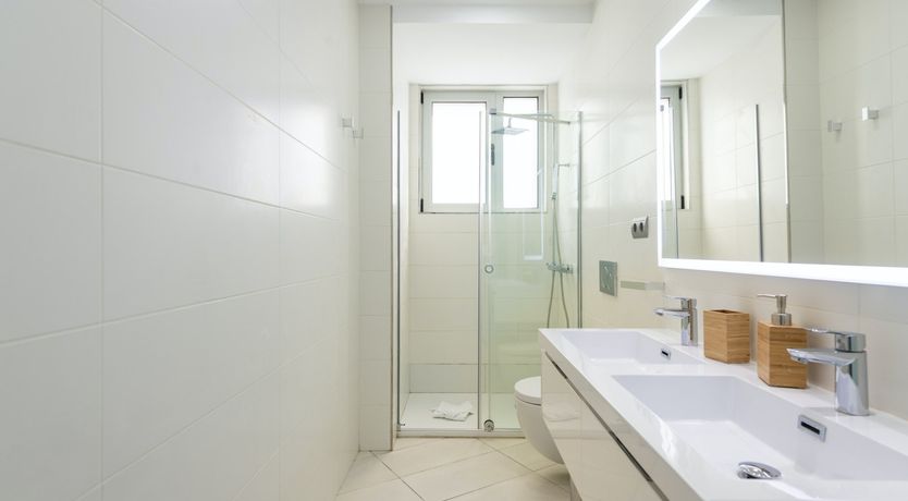 Photo of Tropical Fish