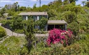 Photo of Beyond the Bougainvillea