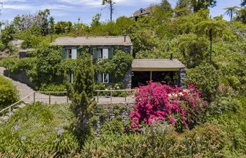 Beyond the Bougainvillea Cottage