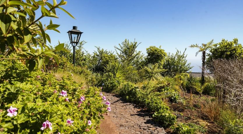Photo of Beyond the Bougainvillea