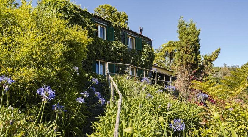 Photo of Beyond the Bougainvillea