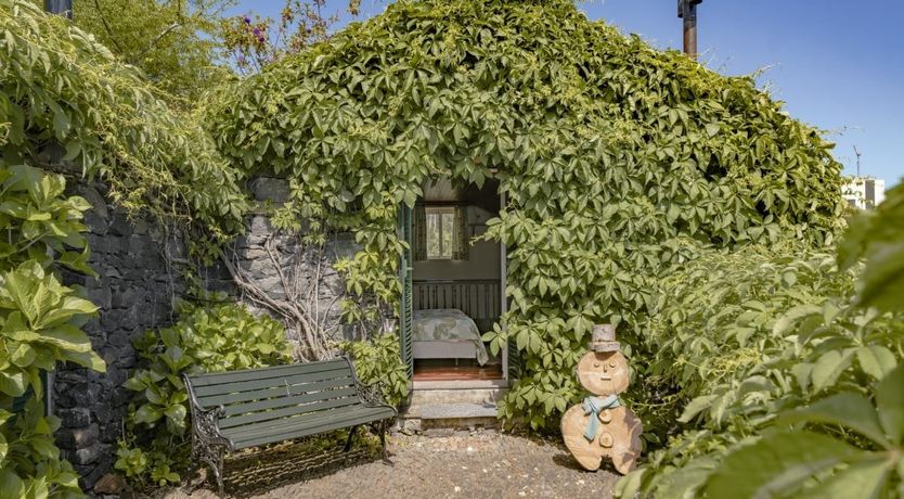 Photo of Beyond the Bougainvillea
