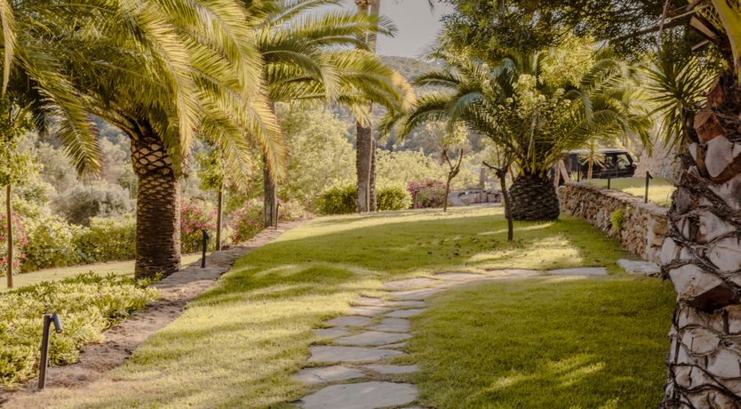 Photo of Island Sanctum