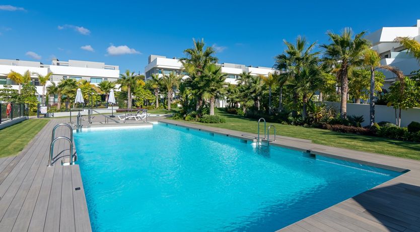 Photo of Sway of the Palms