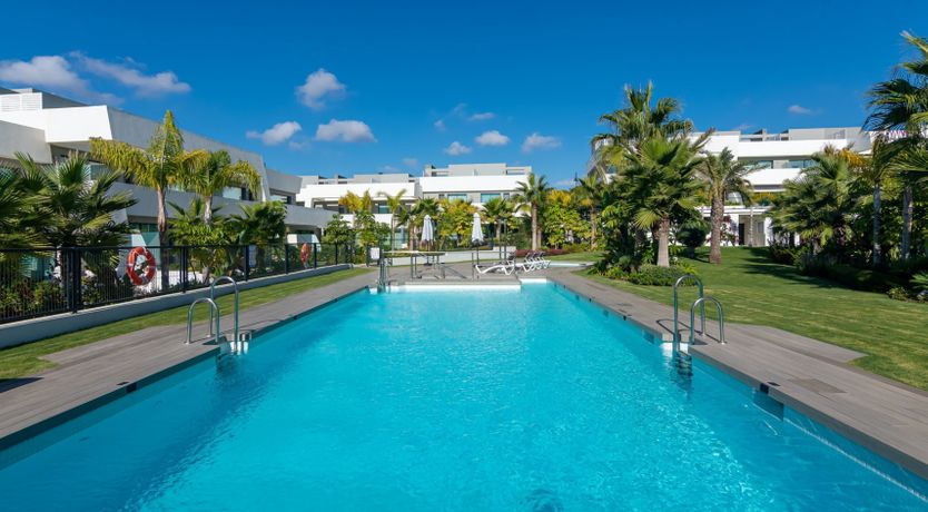 Photo of Sway of the Palms