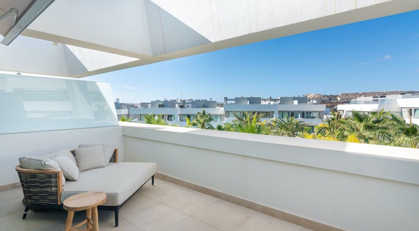 Photo of Sway of the Palms