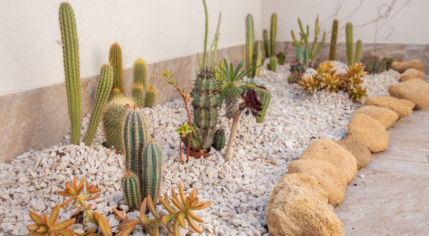 Photo of The Phoenician's Way