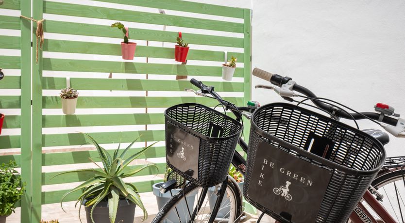 Photo of The Phoenician's Way